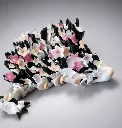 maxi dragon cerisier_2.webp
