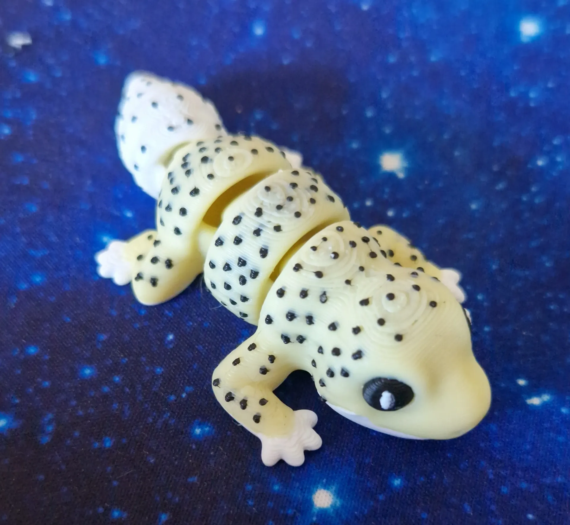 Gecko