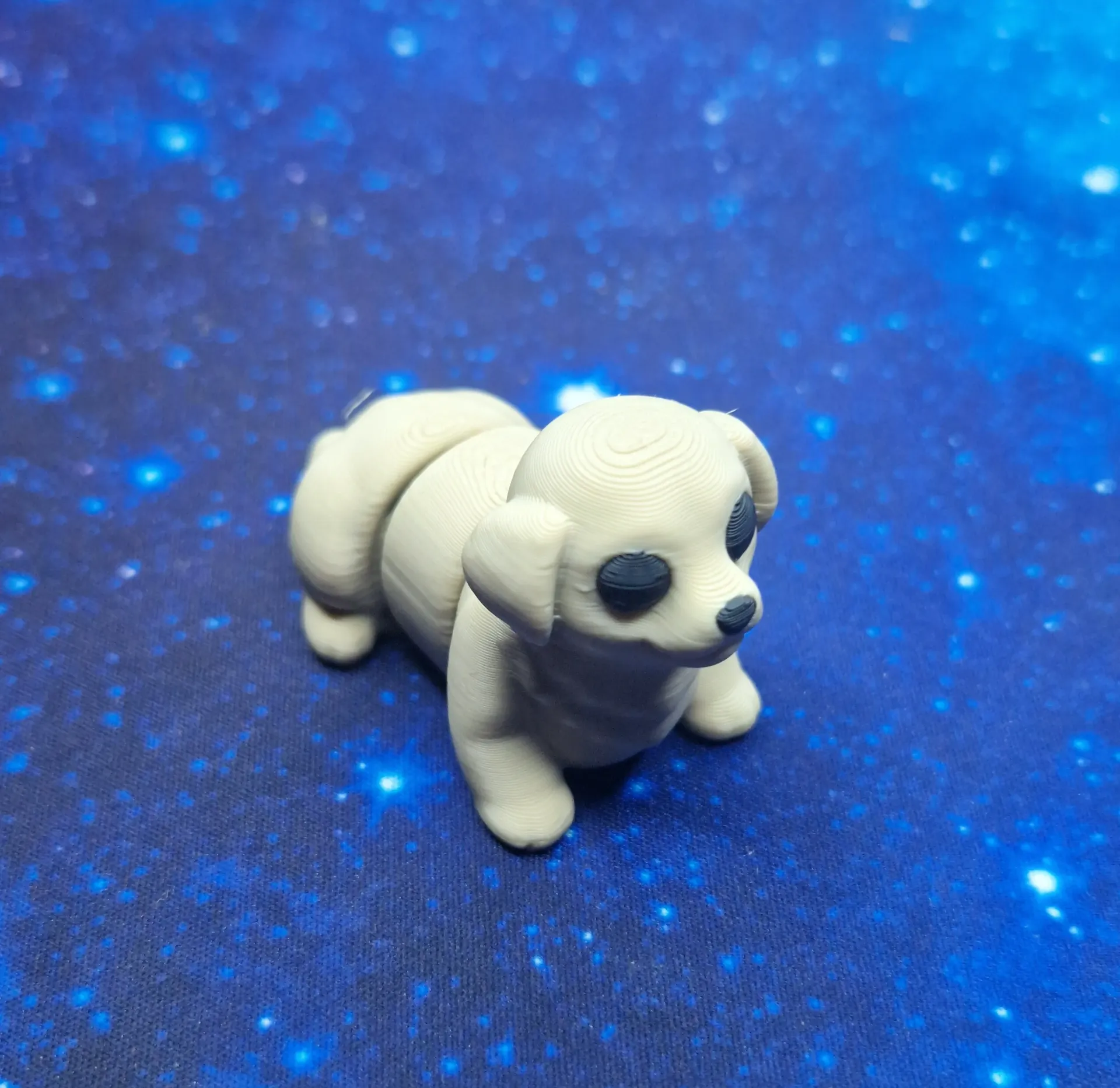 [MINI-MALS_BABY LABRADOR] Baby labrador