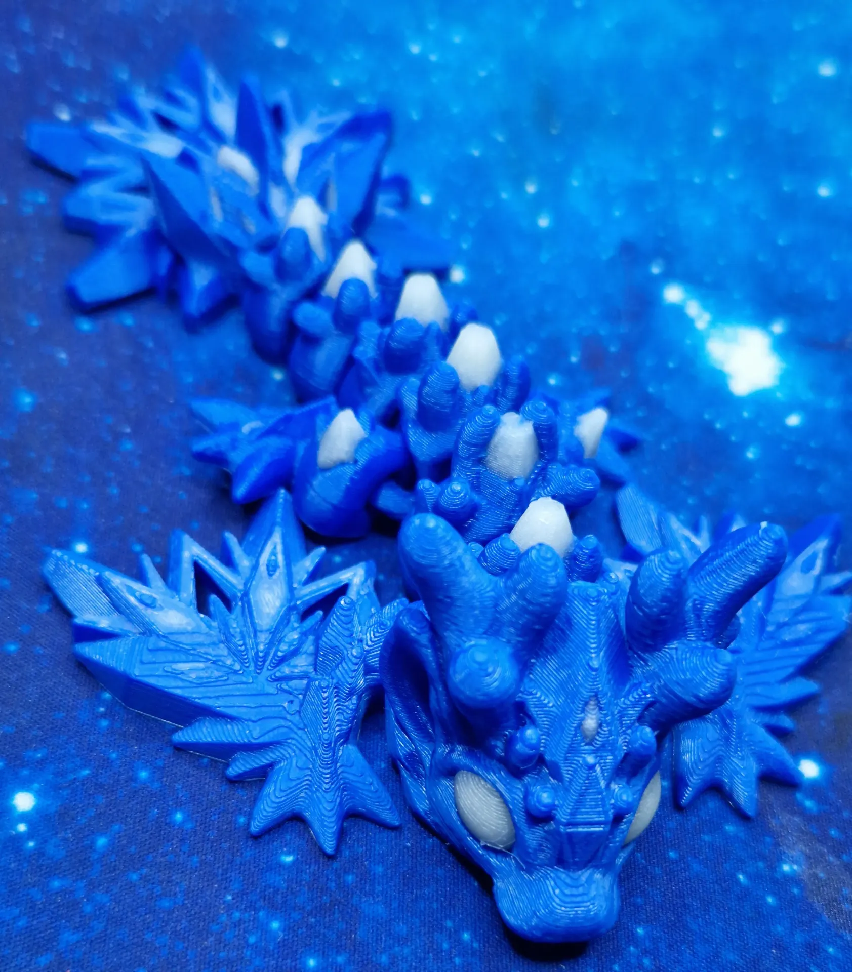 MINI-DRAGON D'HIVER